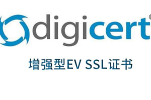 DigiCert有几种扩展型EV单域名SSL证书？有什么特点？
