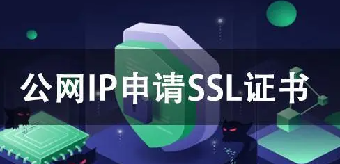 IP SSL证书