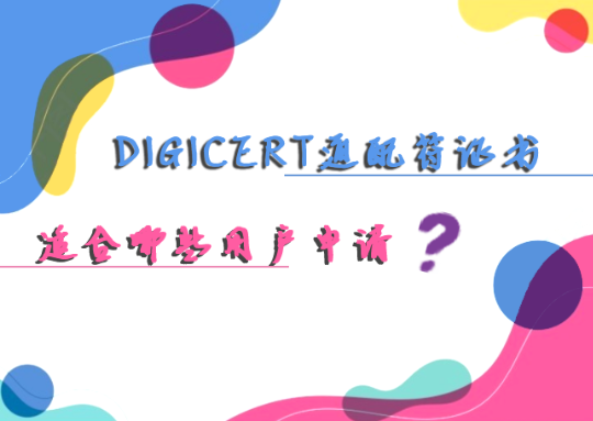 DigiCert通配符证书适合哪些用户申请