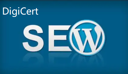 WordPress网站安装DigiCert通配符证书教程