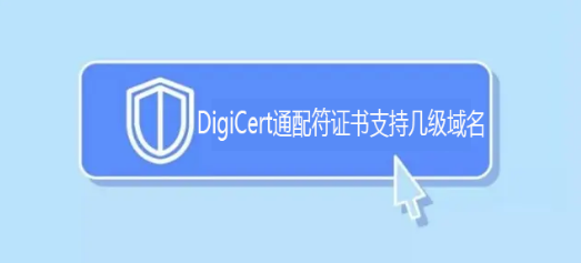 DigiCert通配符证书支持几级域名