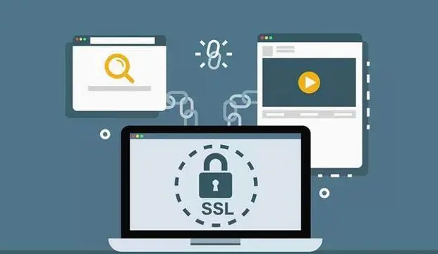 DigiCert证书支持DV SSL证书申请吗