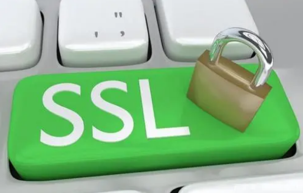 OV SSL证书验证