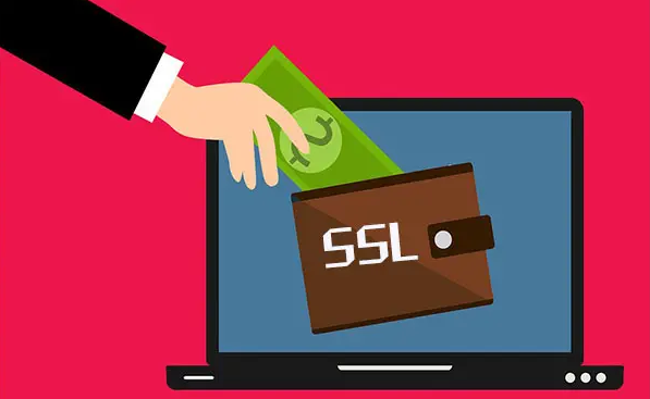 SSL证书保护信息