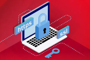 SSL证书与国密SSL证书比较