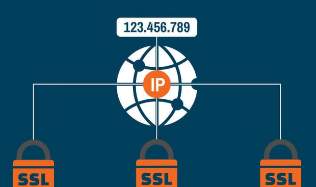 IP SSL证书