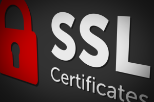给公司选什么SSL证书比较好