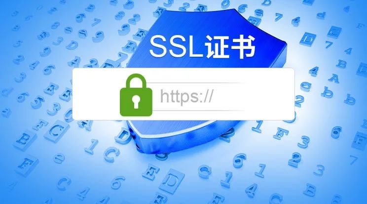 企业型通配符SSL证书