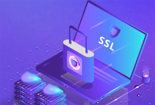 DigiCert EV SSL证书价格