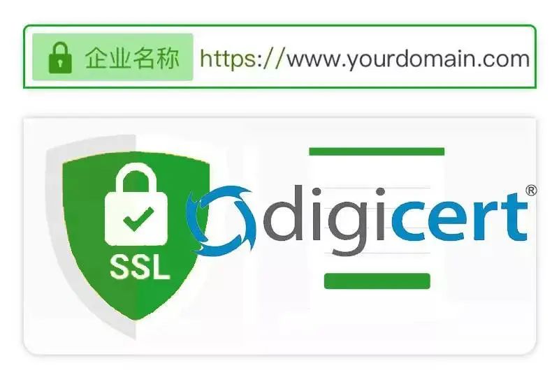 DigiCert EV多域名证书
