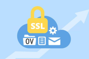 OV SSL证书