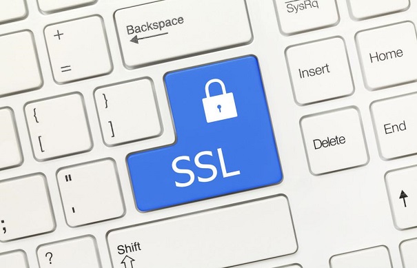 DigiCert SSL数字证书续费