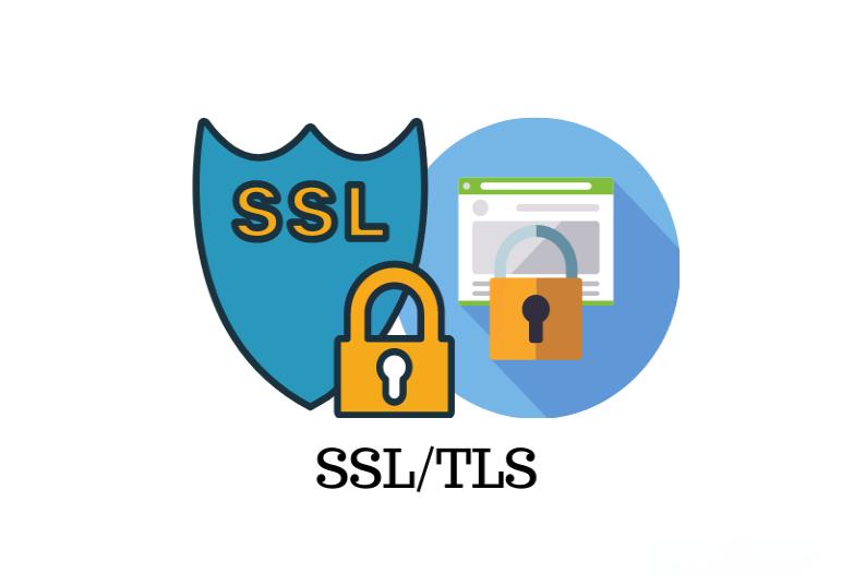 SSL证书品牌