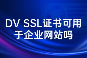 DV SSL证书可用于企业网站吗