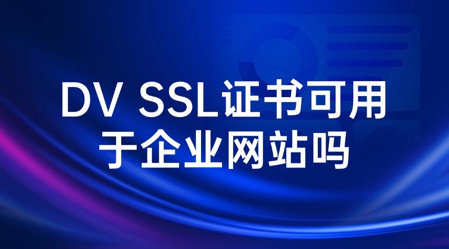 DV SSL证书可用于企业网站吗