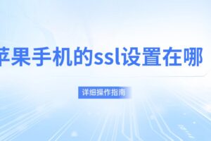 苹果手机的ssl设置在哪