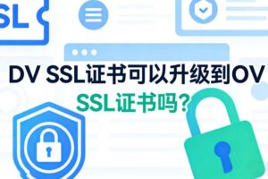 DV SSL证书