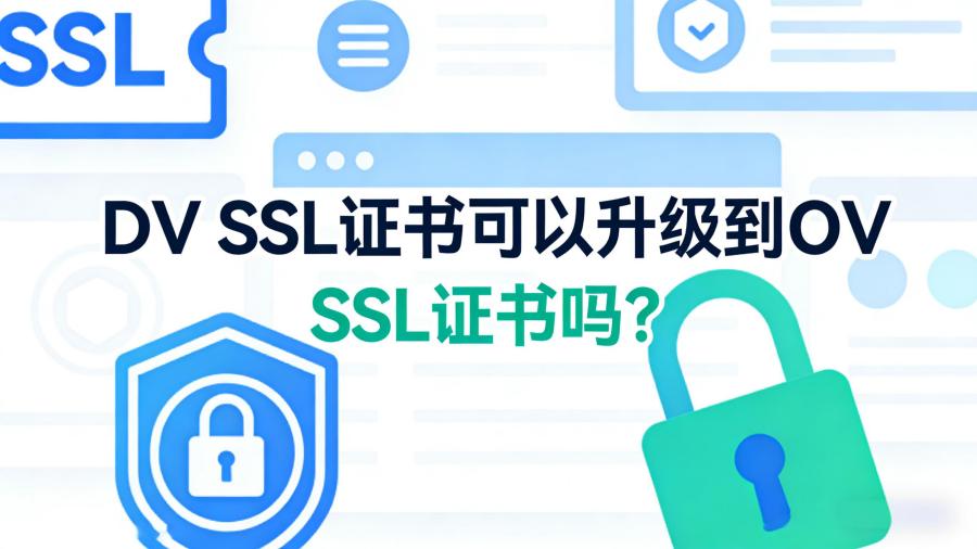 DV SSL证书
