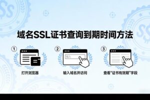域名SSL证书查询