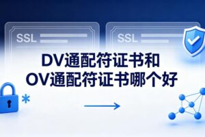 DV通配符证书