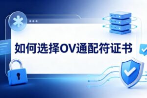 OV通配符证书