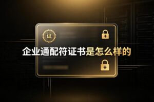 企业通配符证书