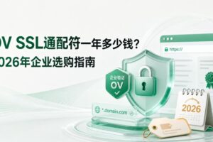OV SSL通配符一年多少钱