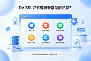 DV SSL证书