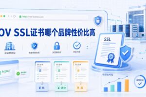OV SSL证书哪个品牌性价比高
